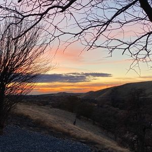 Meet your Posher, Susy